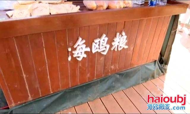 昆明海鷗搬家稱一老板返鄉(xiāng)探病，留下鷗糧供游客投喂結(jié)果出乎意料.jpg