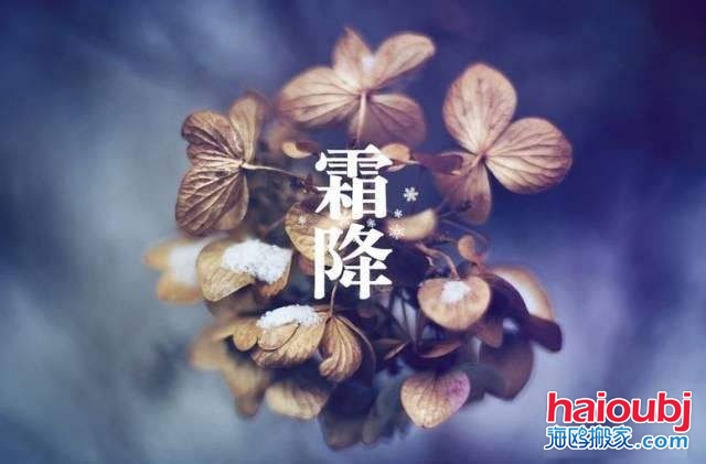 2019年霜降的第二天可以搬家嗎，如果搬家需要注意些什么？.jpg